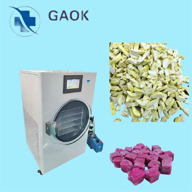 홈 식품 동결 건조 건조기 장비